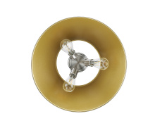 3306-3FM PW-AB_2.jpg